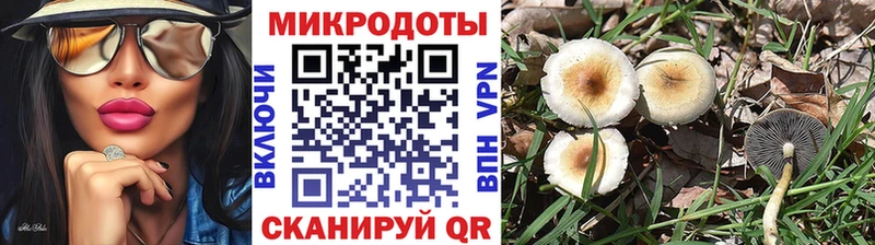 Галлюциногенные грибы MAGIC MUSHROOMS  omg как зайти  Бийск  даркнет сайт 