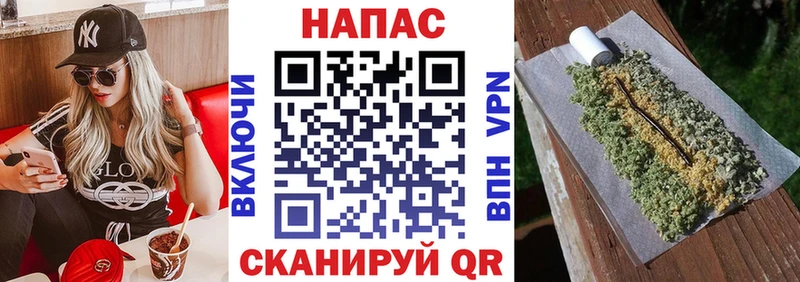 МАРИХУАНА сатива Бийск
